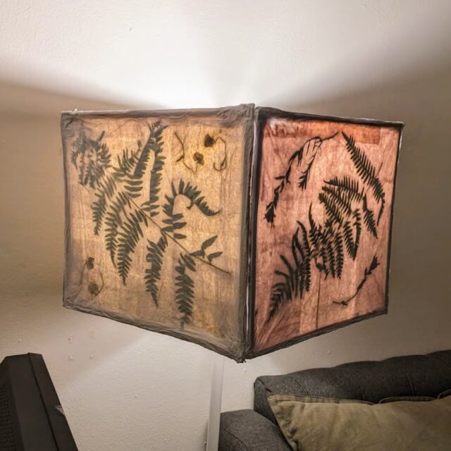 I made this lamp for my sister for a house-warming gift! Since she lives in a different state, I made the panels at home first, packed into my carry-on, and assembled them in her apartment later. I was in a hurry so I didn't take many pictures of the process, but I basically made balsa wood frames and layered sheets of tissue paper and plants into it, meshing them together with watered down modge podge. The ferns and wildflowers were locally collected last summer and I've had them nicely dried and pressed flat. Now she has this little piece of Montana in her new home!
#upcycled #handmadecrafts #dıy #montanaartist #papermaking #lanternart
